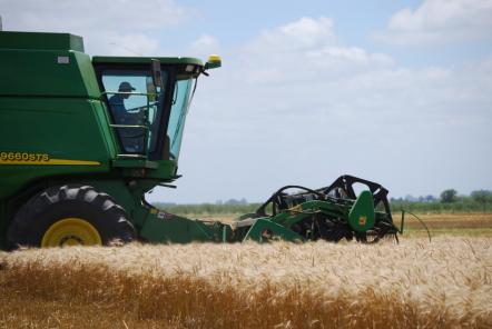 Así viene la campaña agrícola en el sudeste bonaerense