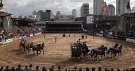Estatizan el predio de la Rural en Palermo