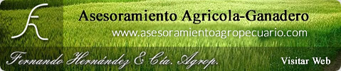 asesoramiento agrcola ganadero