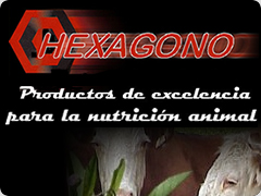 productos de excelencia para la nutricin animal